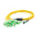MPO-FC-APC-24F-XX MPO轉FC-APC-24F光纖跳線 單模MPO/APC轉fc光纖跳線 MPO轉FC/APC 分支電纜24芯單模 